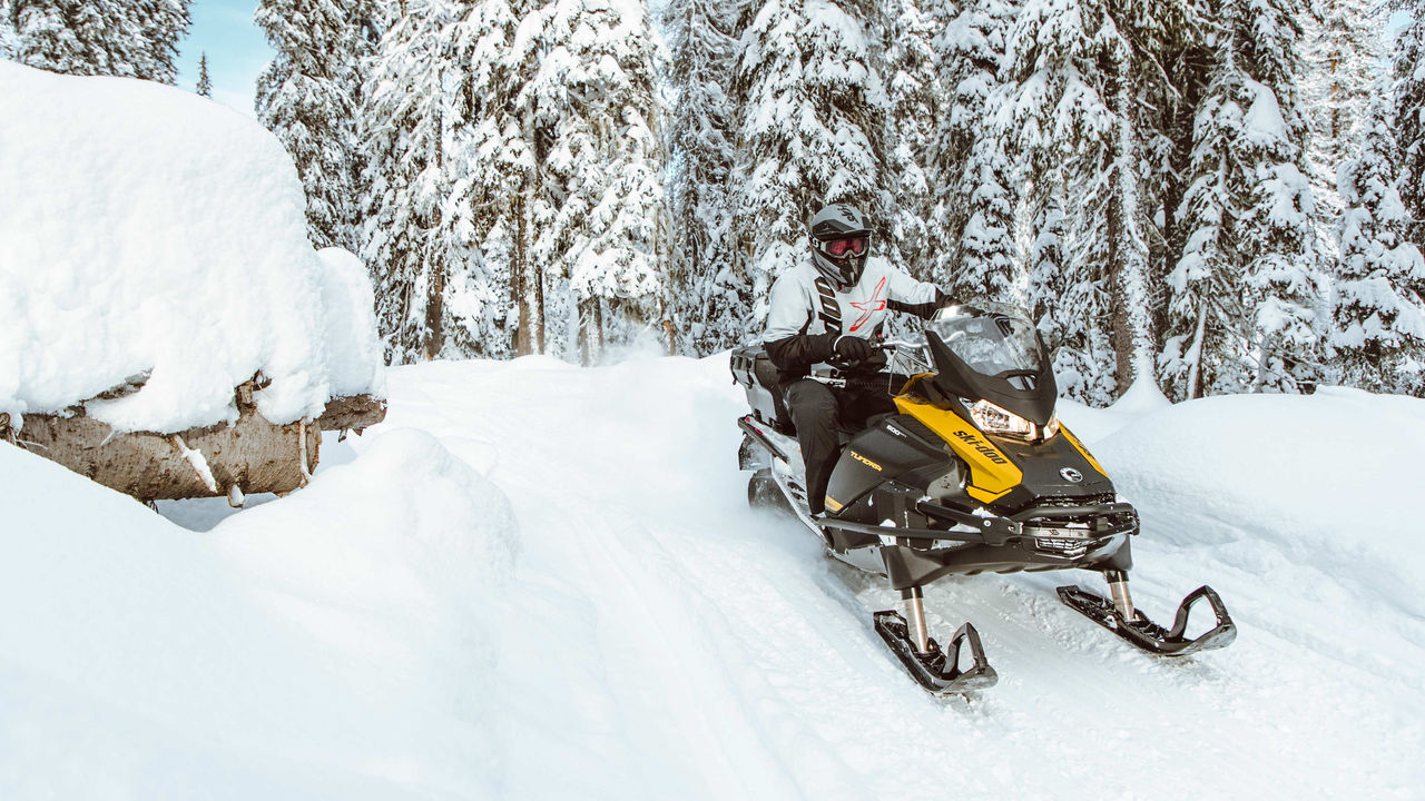 2025 Ski-Doo Tundra - スポーツ ユーティリティ スノーモービル